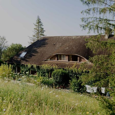Domaine Foray Bed & Breakfast Villecien Exterior photo
